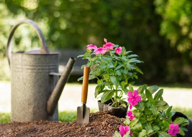 Garden planting scene with flowers, soil, and gardening tools.