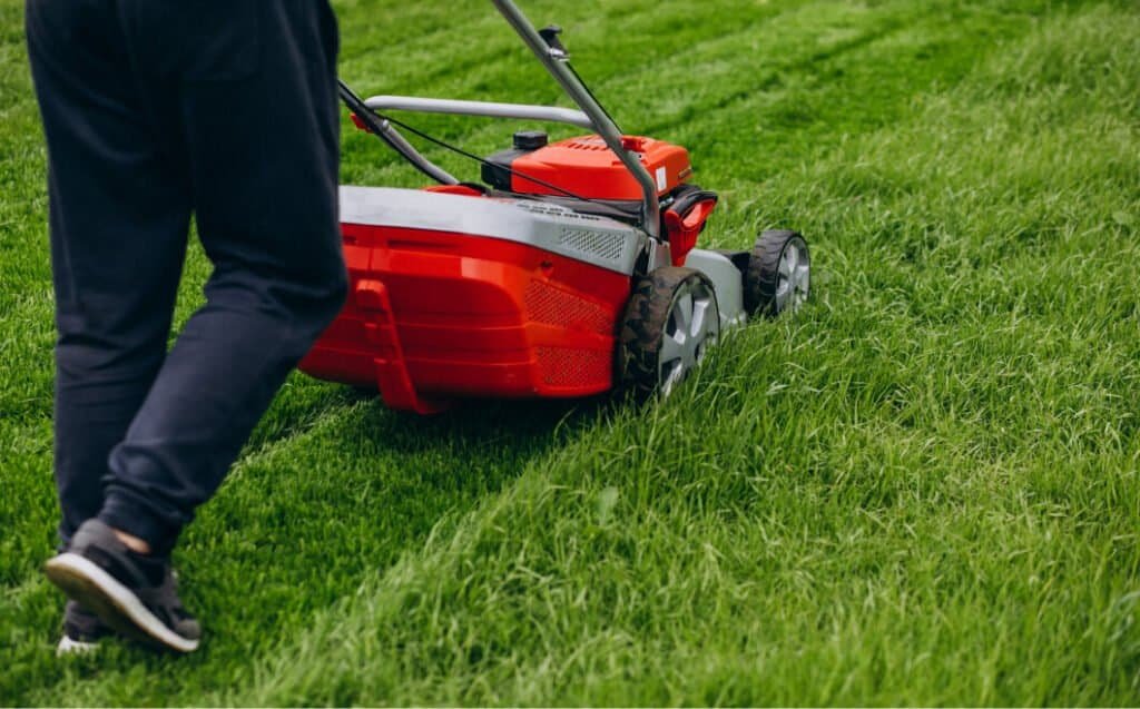 Person mowing lush green grass with a red lawn mower.