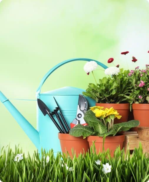 Colorful garden with potted flowers and gardening tools on grass.
