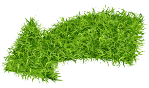 Lush green shrubbery for landscape hardscape design.